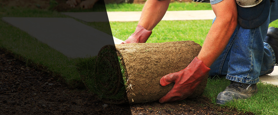 Rock Springs Landscapers